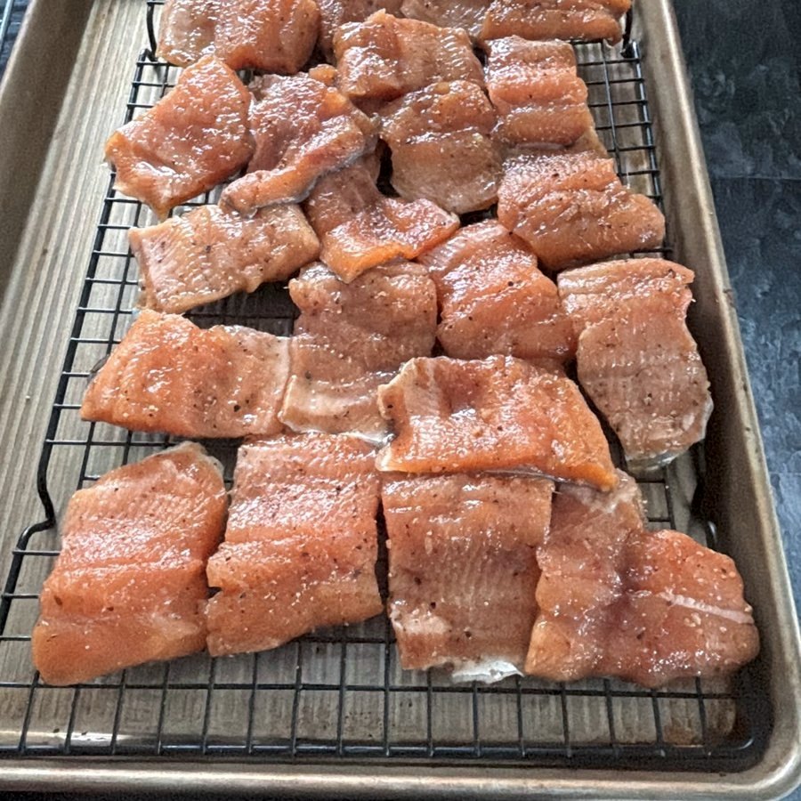 Seasoned trout fillets on a rack, ready to smoke