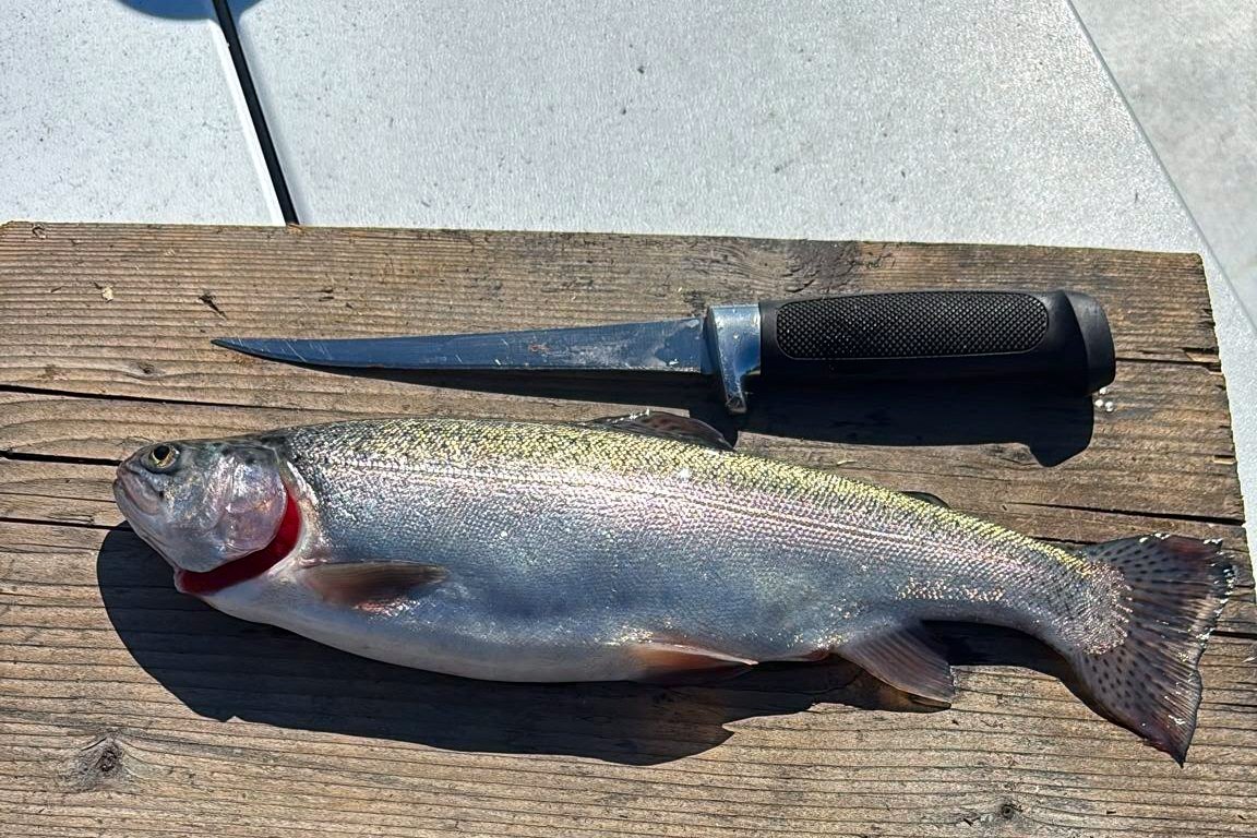 A trout on a wooden cutting board with a fillet knife